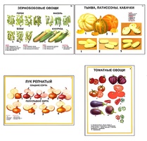 Плакаты ПРОФТЕХ "Ассортимент овощных культур" (12 пл, винил, 70х100) - fgospostavki.ru - Миасс