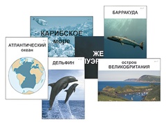 Модель-аппликация "Океаны. Знакомство" (ламинированная) - fgospostavki.ru - Миасс
