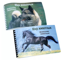 Пособие для слабовидящих - Домашние животные - fgospostavki.ru - Миасс