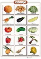 Таблицы "Окружающий мир" (формат А2, ламинированные, 10 таблиц) - fgospostavki.ru - Миасс