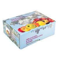 Набор муляжей "Дикая форма и культурные сорта яблок" - fgospostavki.ru - Миасс