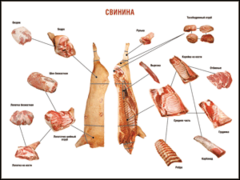 Таблица "Правила разделки мясных туш. Свинина" (100х140 сантиметров. винил) - fgospostavki.ru - Миасс