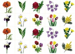 Комплект карточек "Запоминай, играй, считай" - Цветы - fgospostavki.ru - Миасс