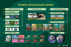 Электрифицированный стенд "Уровни организации жизни" - fgospostavki.ru - Миасс