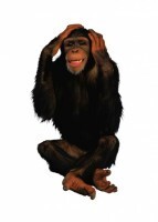 Комплект карточек "Запоминай, играй, считай" - Дикие животные - fgospostavki.ru - Миасс