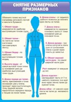 Стенд "Снятие мерок" Вариант 2 - fgospostavki.ru - Миасс