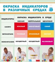 Стенд "Окраска индикаторов в различных средах" - fgospostavki.ru - Миасс