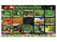 Комплект оборудования "Живой уголок" (растения) - fgospostavki.ru - Миасс