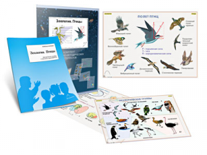 Комплект кодотранспарантов "Зоология. Птицы" - fgospostavki.ru - Миасс