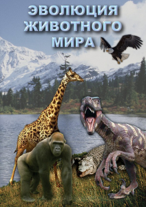 DVD "Эволюция животного мира" - fgospostavki.ru - Миасс