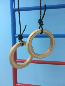 Кольца навесные для детского спортивного комплекса (диаметр 16 сантиметров, фанера) - fgospostavki.ru - Миасс