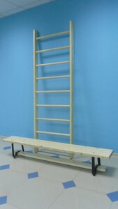 Стенка гимнастическая шведская премиум (1000х3200 мм) - fgospostavki.ru - Миасс