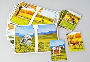 Настольно-печатная игра "Вокруг света" - fgospostavki.ru - Миасс