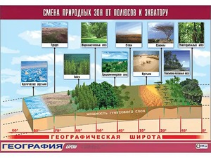 Таблица демонстрационная "Смена природных зон от полюсов к экватору" (винил 100*140) - fgospostavki.ru - Миасс
