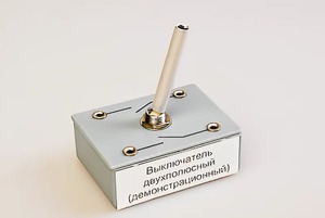 Выключатель двухполюсный (демонстрационный) - fgospostavki.ru - Миасс