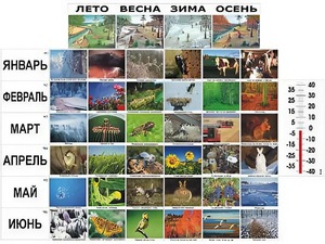 Фенологические наблюдения - fgospostavki.ru - Миасс