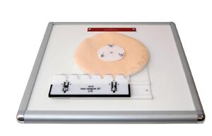 Комплекс "Изучение зубьев" - fgospostavki.ru - Миасс