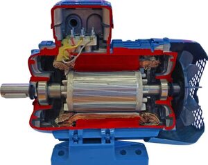 Учебная модель «Электродвигатель асинхронный в разрезе» - fgospostavki.ru - Миасс