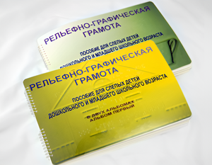Пособие для слабовидящих детей - Рельефно-графическая грамота для слепых детей дошкольного и младшего школьного возраста - fgospostavki.ru - Миасс