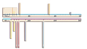 Модель-аппликация "Расстояния во Вселенной" - fgospostavki.ru - Миасс