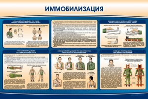 Стенд "Иммобилизация" - fgospostavki.ru - Миасс