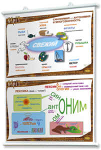Плакаты по русскому языку для оформления кабинета. - fgospostavki.ru - Миасс
