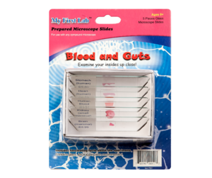 Набор микропрепаратов для микроскопа №1 «Человек» - fgospostavki.ru - Миасс