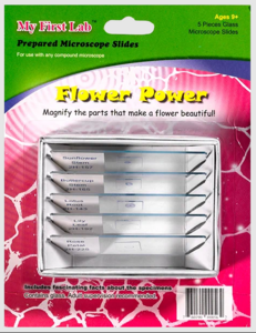 Набор микропрепаратов для микроскопа №6 «Цветы» - fgospostavki.ru - Миасс