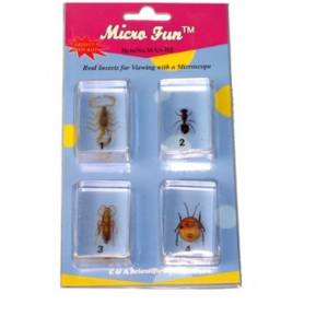 Набор микропрепаратов для стереомикроскопа №14 «Насекомые» - fgospostavki.ru - Миасс