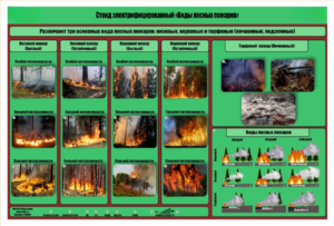 Стенд-планшет электрифицированный «Виды лесных пожаров»  - fgospostavki.ru - Миасс