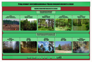 Стенд-планшет электрифицированный «Оценка пожарной опасности в лесах»  - fgospostavki.ru - Миасс