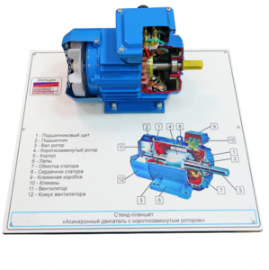 Стенд-планшет «Асинхронный двигатель с короткозамкнутым ротором» - fgospostavki.ru - Миасс