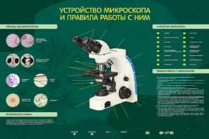 Электрифицированный стенд "Устройство микроскопа и правила работы c ним" - fgospostavki.ru - Миасс