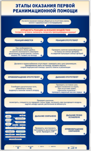 Электрифицированный стенд-тренажер "Этапы оказания первой реанимационной помощи" - fgospostavki.ru - Миасс