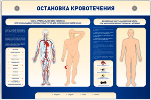 Электрифицированный стенд-тренажер "Остановка кровотечения" - fgospostavki.ru - Миасс