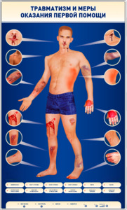 Электрифицированный стенд-тренажер "Травматизм и меры оказания первой помощи" - fgospostavki.ru - Миасс