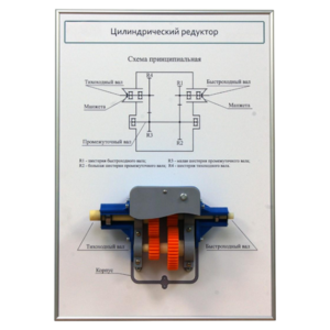 Плакат планшет с демонстрационной моделью «Цилиндрический редуктор» - fgospostavki.ru - Миасс