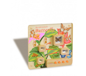 Панель «Жизненный цикл бабочки» - fgospostavki.ru - Миасс