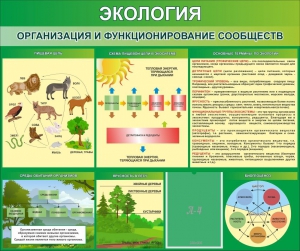 Стенд "Экология. Организация и функционирование сообществ" - fgospostavki.ru - Миасс