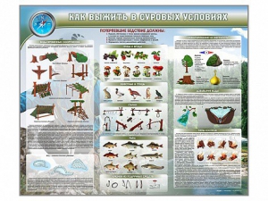 Стенд "Как выжить в суровых условиях" - fgospostavki.ru - Миасс