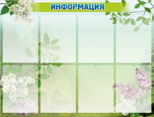Стенд "Информация" Вариант 13 - fgospostavki.ru - Миасс