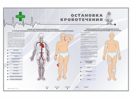 Электрифицированный стенд "Остановка кровотечения" - fgospostavki.ru - Миасс