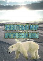 DVD "Животный мир Арктической зоны" - fgospostavki.ru - Миасс