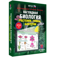 Наглядная биология. 6 класс. Растения. Грибы. Бактерии - fgospostavki.ru - Миасс