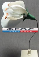Модель "Цветок гороха" - fgospostavki.ru - Миасс