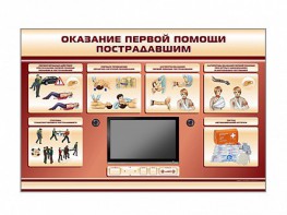 Многофункциональный интерактивный стенд-тренажер "Оказание первой помощи пострадавшим" для учащихся общеобразовательных учреждений - fgospostavki.ru - Миасс