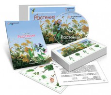 Комбинированное наглядное пособие «Растения» - fgospostavki.ru - Миасс