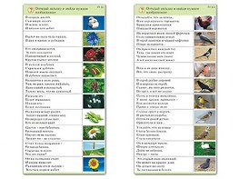 Комплект карточек (10) "Обучающий калейдоскоп. Природа" - fgospostavki.ru - Миасс