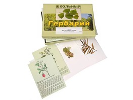 Гербарий "Для начальной школы" (30 видов, с иллюстрациями) - fgospostavki.ru - Миасс