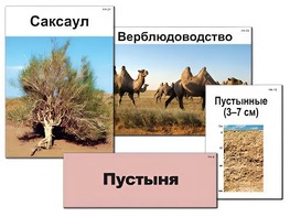 Модель-аппликация "Природные зоны России" (ламинированная) - fgospostavki.ru - Миасс